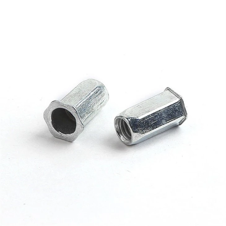 hex head rivet (5)