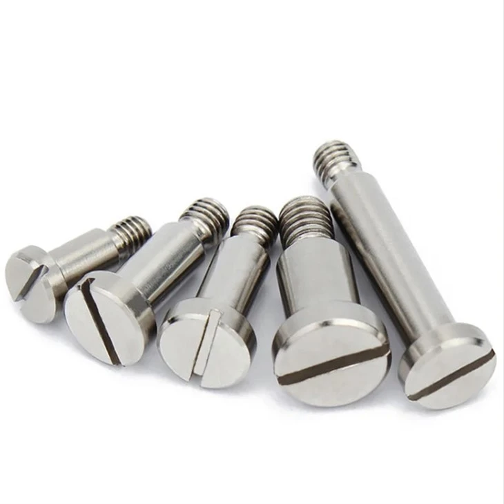 slotted screw (6)