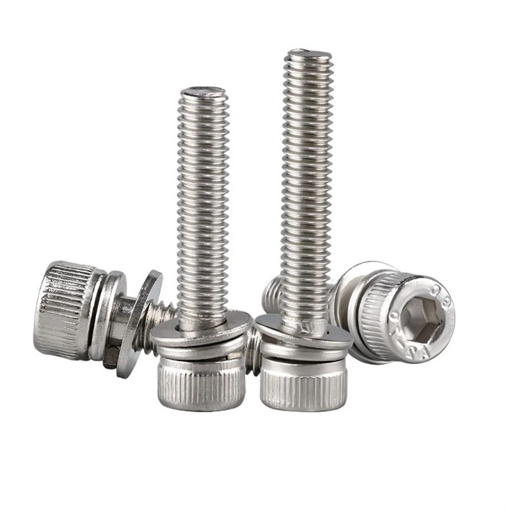 cup head washer screw (2)